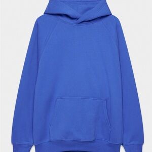 Aritzia Cozy Sweatfleece Mega Raglan Hoodie